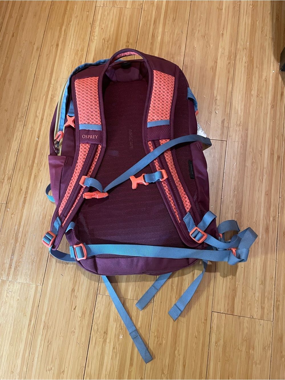 OSPREY Women's Backpack in Deep Burgundy with Blue Straps and Coral Accents - Picture 6 of 7